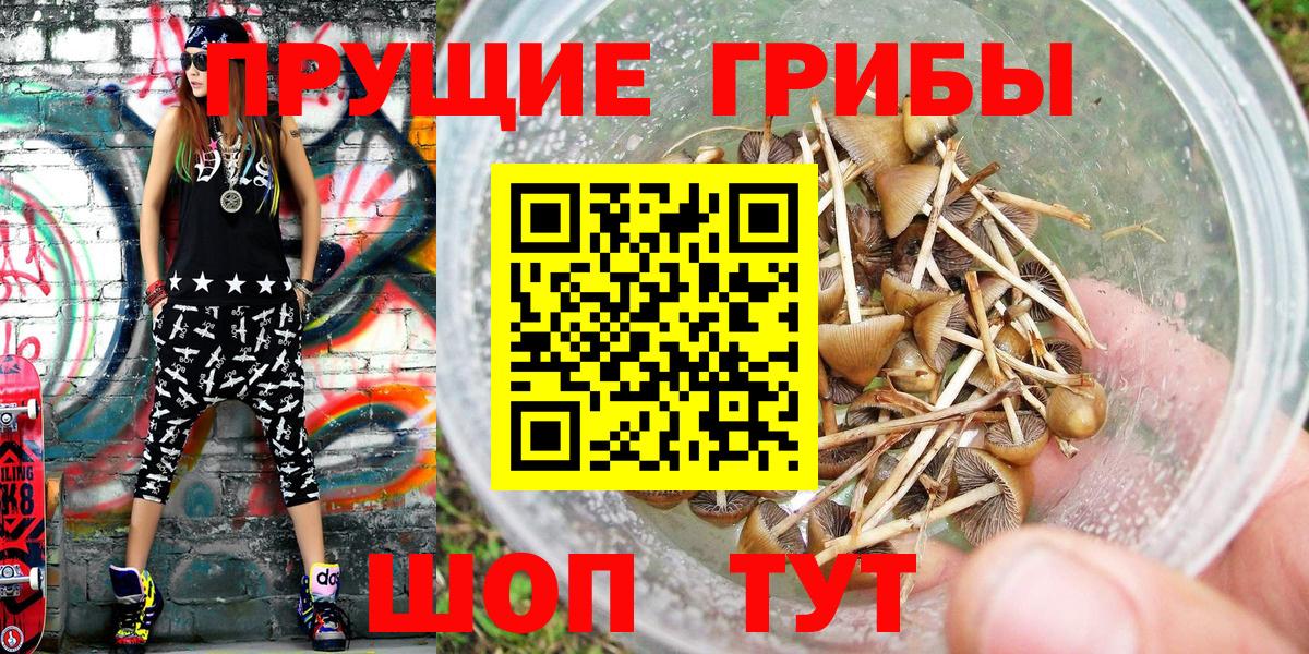 Сердобск  Галлюциногенные грибы Psilocybe  Псилоцибиновые грибы Psilocybine cubensis  Вход с VPN 