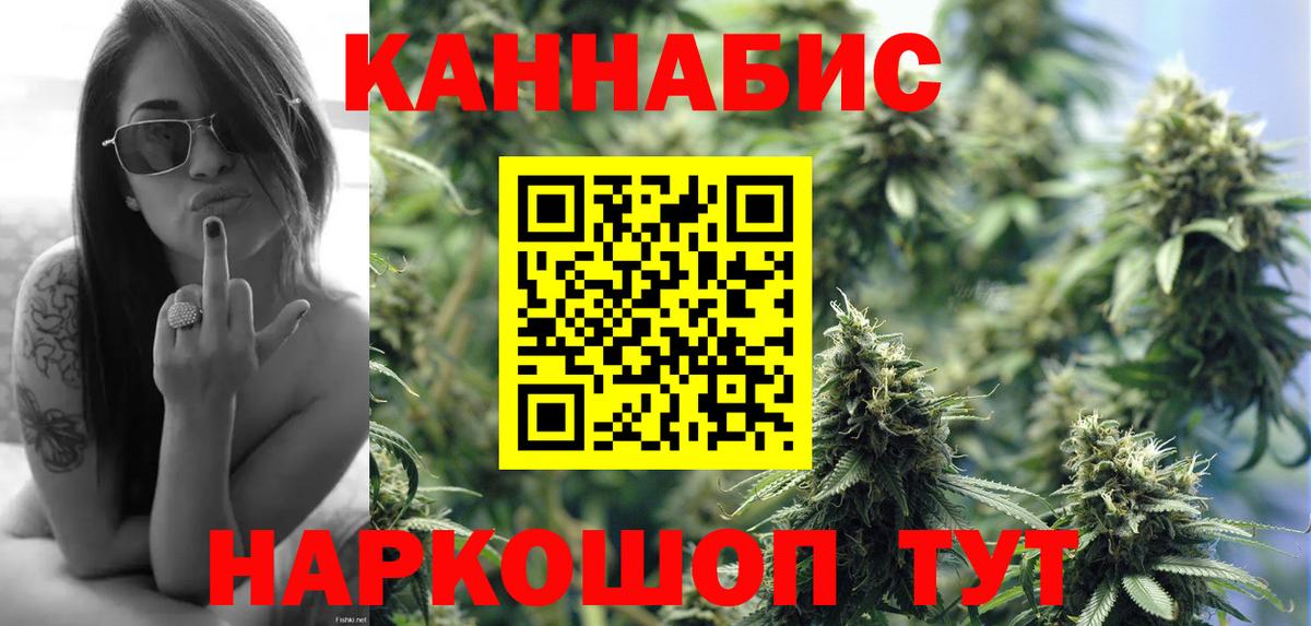 Конопля гибрид Сердобск